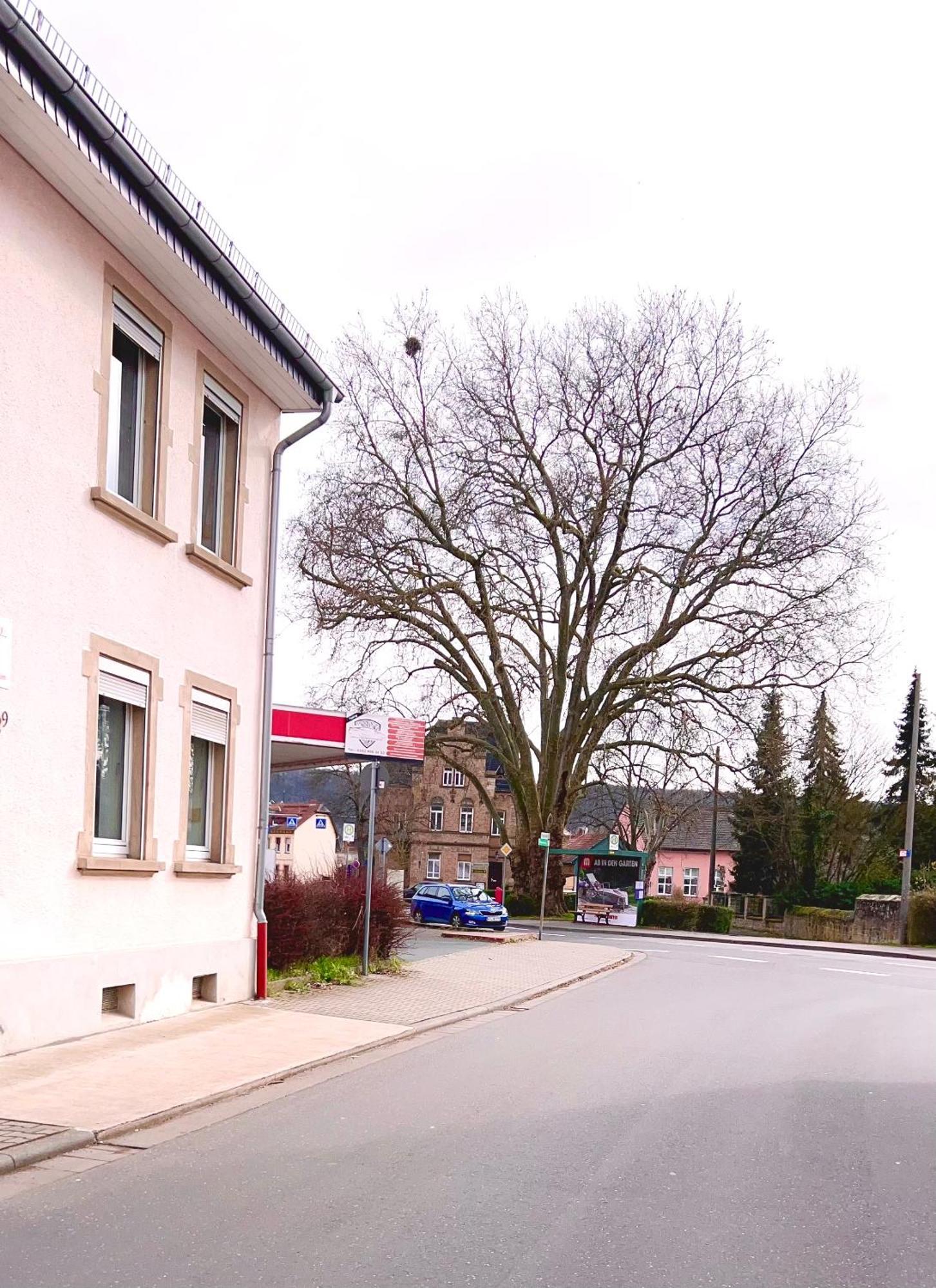 Vinaring Homestay باد سوبرنهيم المظهر الخارجي الصورة